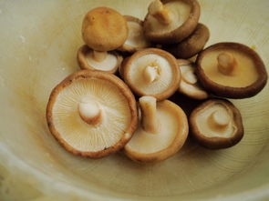 香菇酱油炒饭 香菇酱油炒饭的做法图解,如何做,香菇酱油炒饭怎么做好吃详细步骤 精品主食